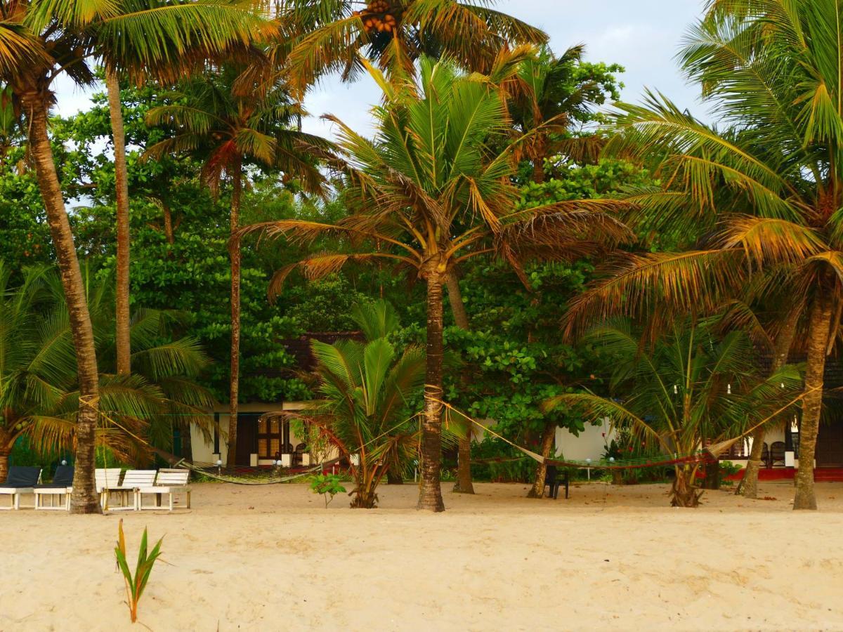 Marari Sealap Beach Villas 마라리쿨람 외부 사진